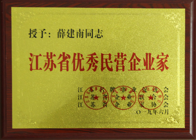 江蘇省優秀民營企業(yè)家